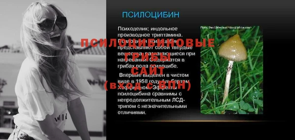 твердый Каменск-Шахтинский