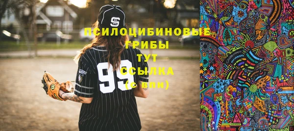 мет Каменка