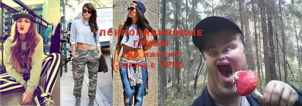 СК Каменногорск