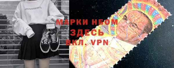хмурый Инсар