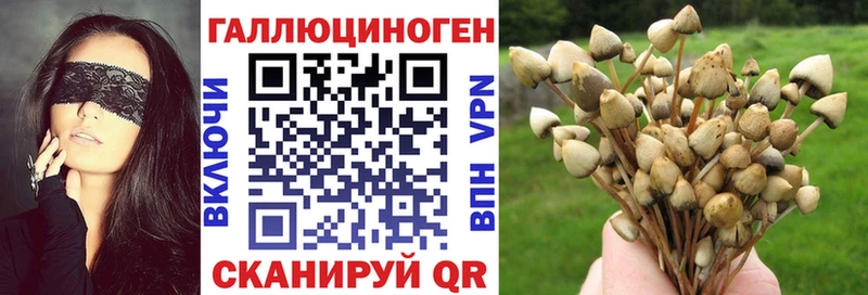 Псилоцибиновые грибы Magic Shrooms  Купить где  Уржум 
